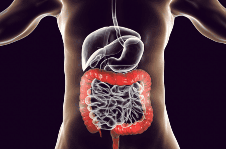 gut health
